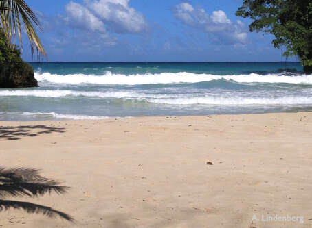 Strand von Jamaika, Wellengang
