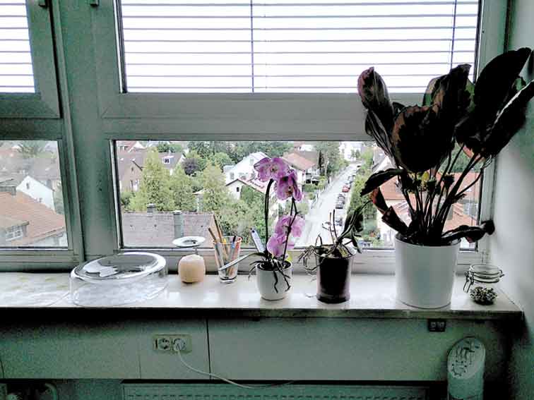 IN HOPE Praxisraum Fensterbank mit Orchidee