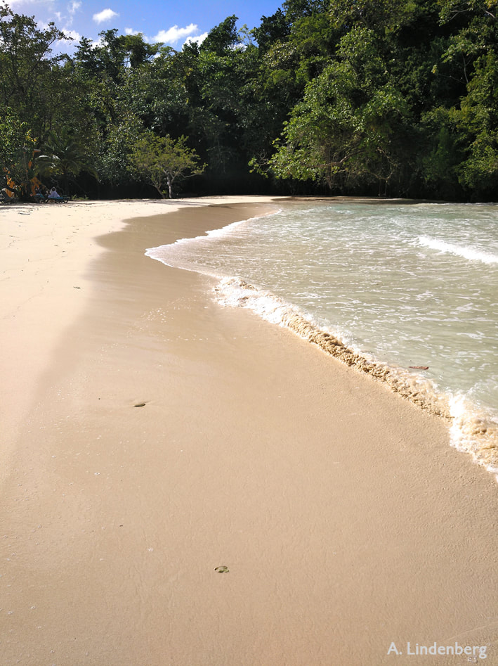 Annes Seelengarten Jamaika Strand mit Dschungel ikm Hintergrund