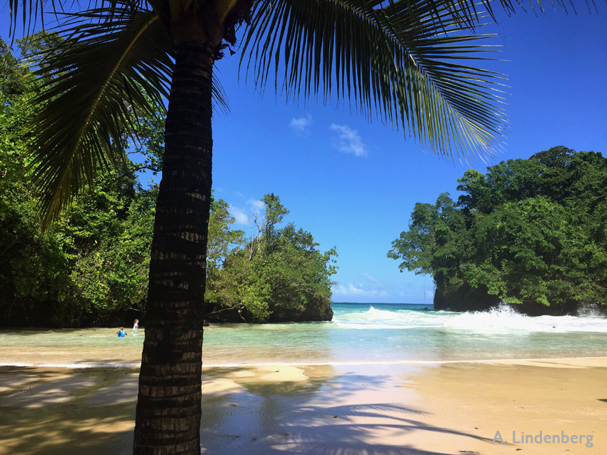 Annes Seelengarten Jamaika Strand mit Palme im Vordergrund