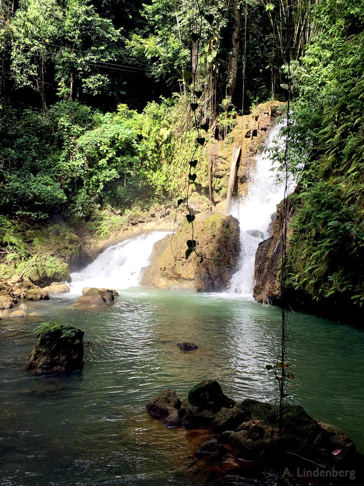 Annes Seelengarten Jamaika Y. S. Falls Wasserfall