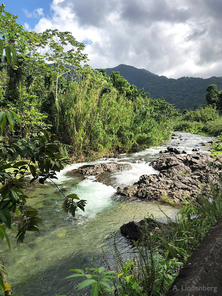 Annes Seelengarten Jamaika Swift River wilder Fluss