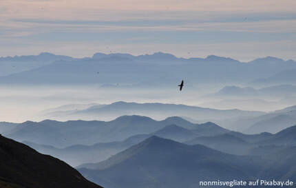 IN HOPE Weiter Blick Berge, Nebel, schwebende Vögel