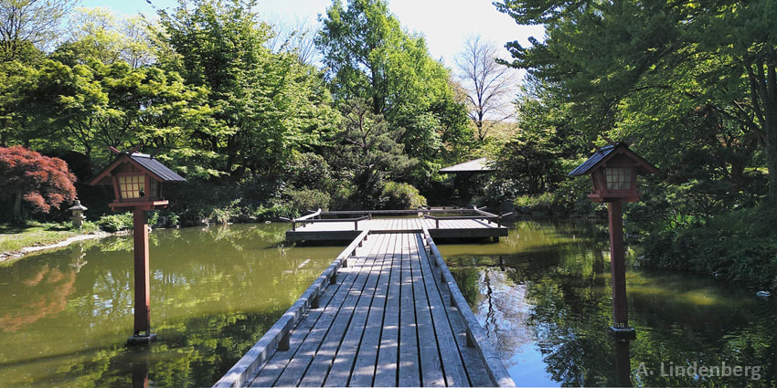 Annes Seelengarten Wasser Japanischer Wassergarten mit Holzsteg im Westpark, München